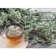 Ceai coada soricelului 50g - BONCHIS
