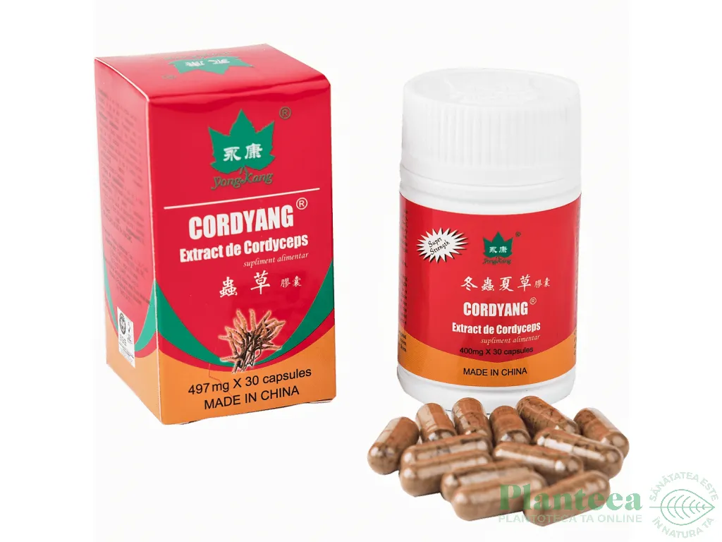 Cordyang extract cordyceps 30cps - YONG KANG