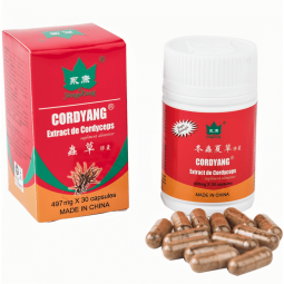 Cordyang extract cordyceps 30cps - YONG KANG