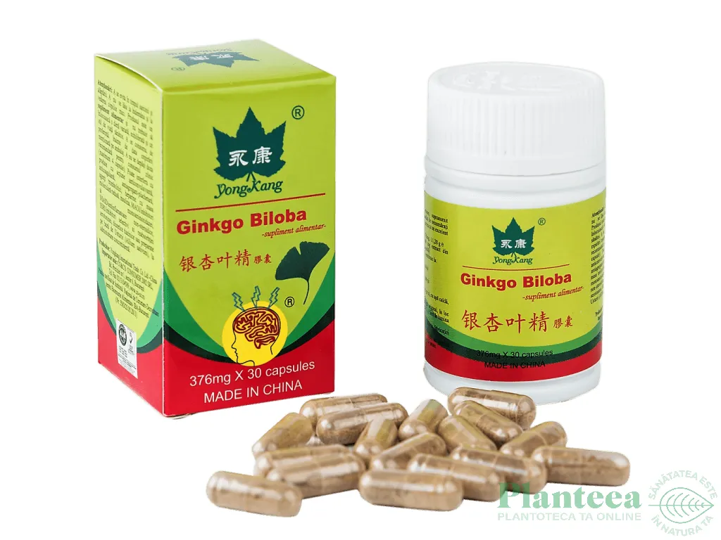 Ginkgo biloba 300mg 30cps - YONG KANG
