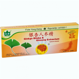 Ginkgo biloba ginseng 10fl - YONG KANG