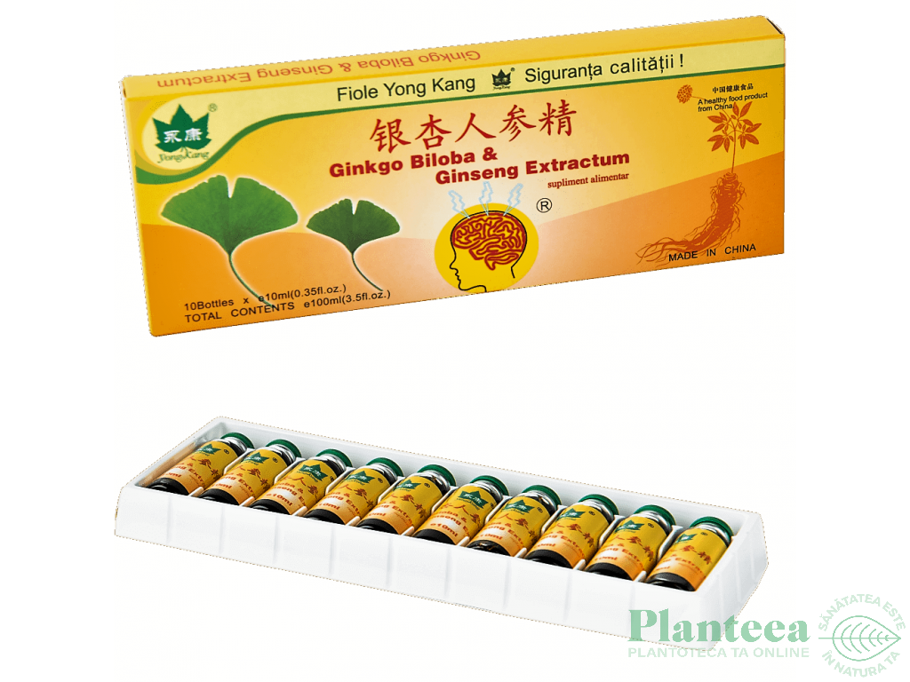 Ginkgo biloba ginseng 10fl - YONG KANG
