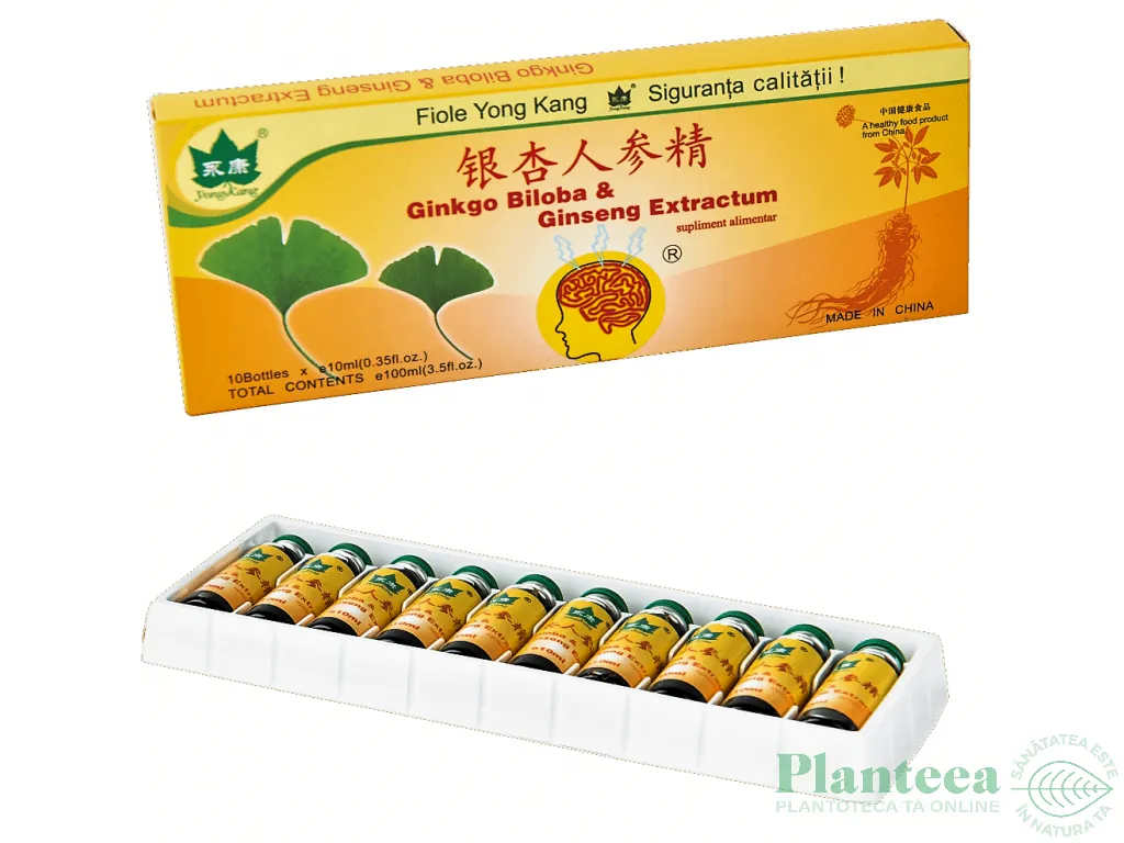 Ginkgo biloba ginseng 10fl - YONG KANG