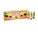 Ginkgo biloba 10fl - YONG KANG