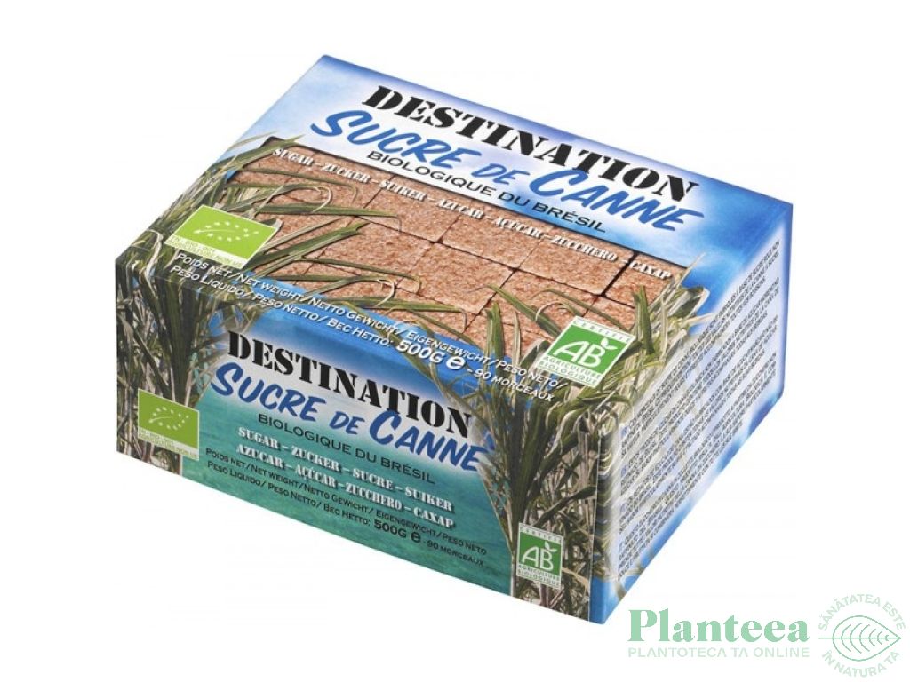 Zahar brun cubic trestie 500g - DESTINATION