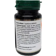 Zinc natural 1x30cps - DVR PHARM