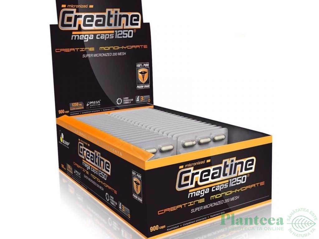 Creatine 1250mg mega caps 900cps - OLIMP