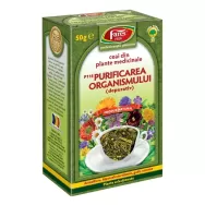 Ceai detoxifiant [purificarea organismului] 50g - FARES