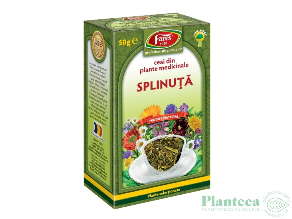 Ceai splinuta 50g - FARES