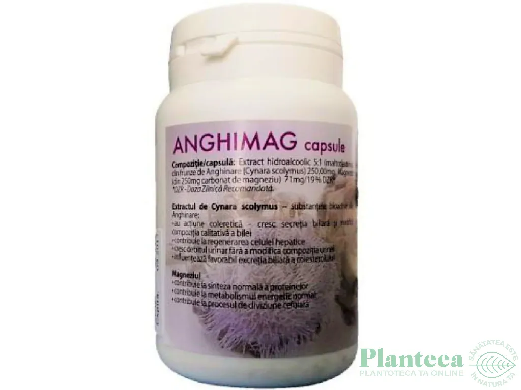 AnghiMag 250mg 50cps - FARMACOM