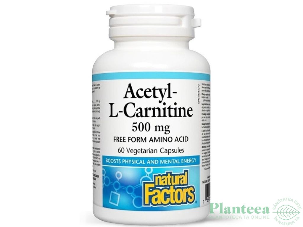 Acetyl L carnitina 500mg 60cps - NATURAL FACTORS