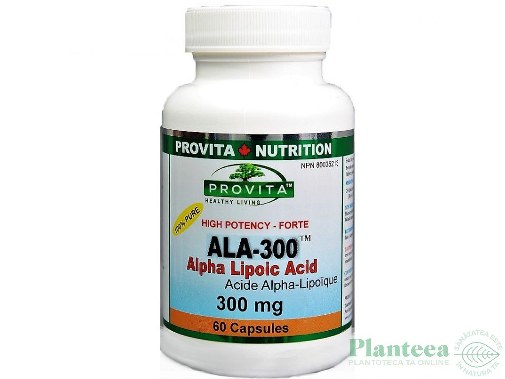 ALA 300 acid alfa lipoic 300mg 60cps - PROVITA NUTRITION