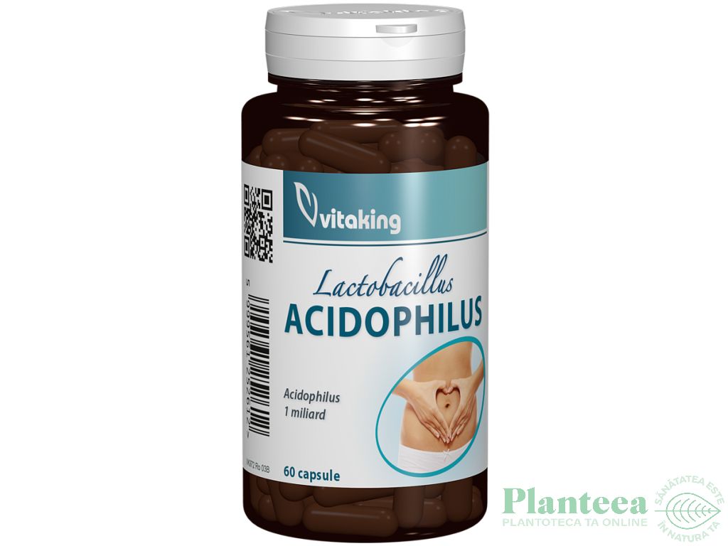 Acidophilus 60cps - VITAKING