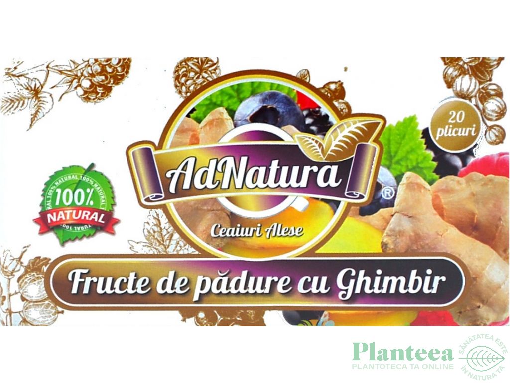Ceai fructe padure ghimbir 20dz - ADNATURA