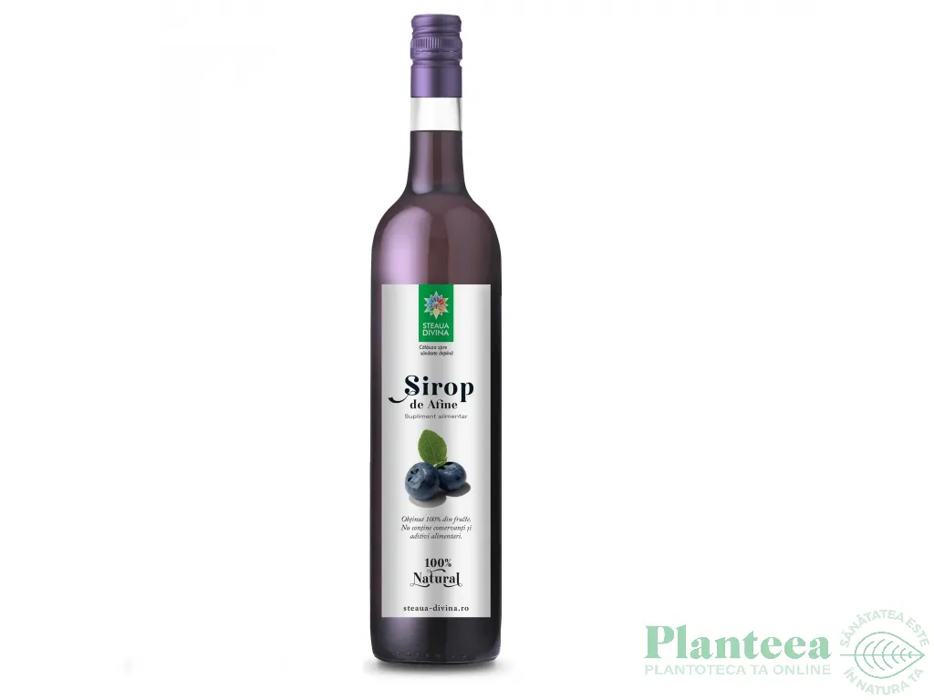 Sirop afine 500ml - SANTO RAPHAEL