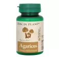 Agaricus 60cp - DACIA PLANT