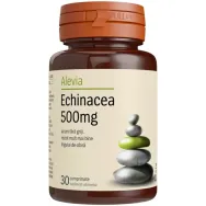 Echinaceea 500mg 30cp - ALEVIA