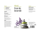 Ceai lavanda 20dz - ALEVIA