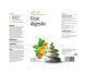 Ceai digestiv 20dz - ALEVIA