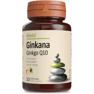 Ginkgo Q10 Ginkana 30cp - ALEVIA