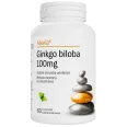 Ginkgo biloba 100mg 1x60cp - ALEVIA