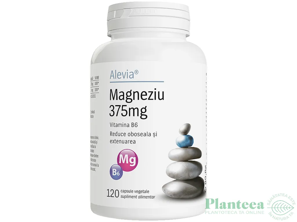 Magneziu 375mg B6 120cps - ALEVIA