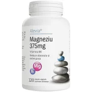 Magneziu 375mg B6 120cps - ALEVIA