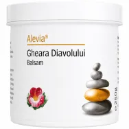 Balsam gheara diavolului 250ml - ALEVIA