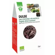 Alge dulse uscate eco 25g - PROBIOS