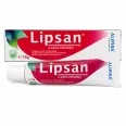 Crema buze protectoare antiherpetica Lipsan 15g - ALIPHIA