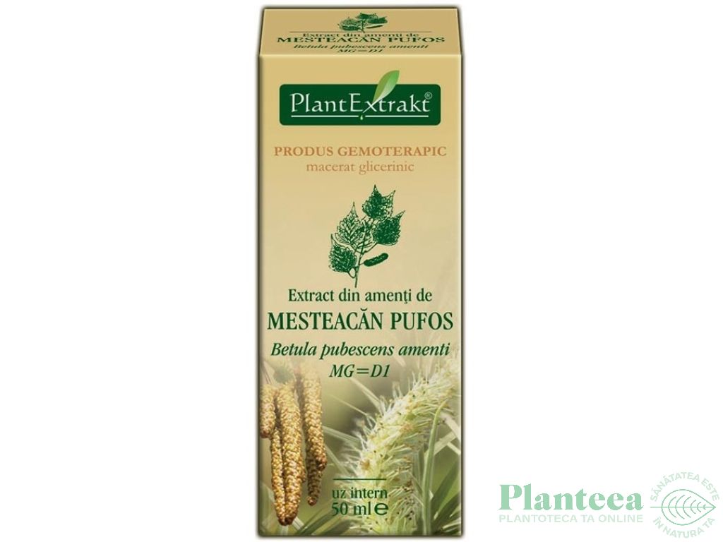 Gemoderivat mesteacan pufos amenti 50ml - PLANTEXTRAKT