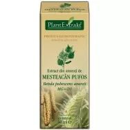 Gemoderivat mesteacan pufos amenti 50ml - PLANTEXTRAKT