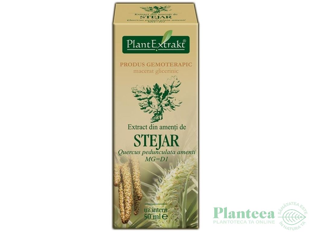 Gemoderivat stejar amenti 50ml - PLANTEXTRAKT