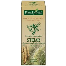 Gemoderivat stejar amenti 50ml - PLANTEXTRAKT