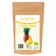 Pulbere ananas bio 50g - OBIO