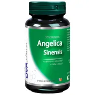 Angelica sinensis 1x60cps - DVR PHARM
