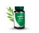 Set Angelica sinensis 2x30cps - DVR PHARM