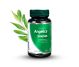 Set Angelica sinensis 2x60cps - DVR PHARM