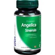 Angelica sinensis 60cps - DVR PHARM