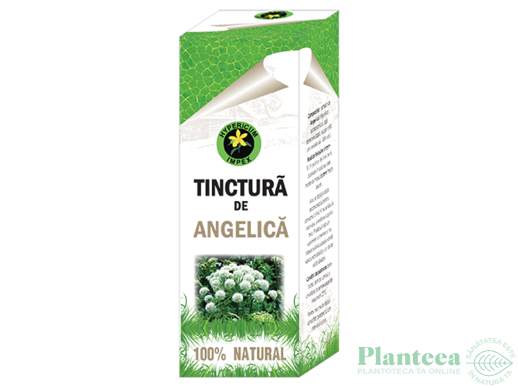 Tinctura angelica 50ml - HYPERICUM PLANT