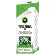 Tinctura angelica 50ml - HYPERICUM PLANT