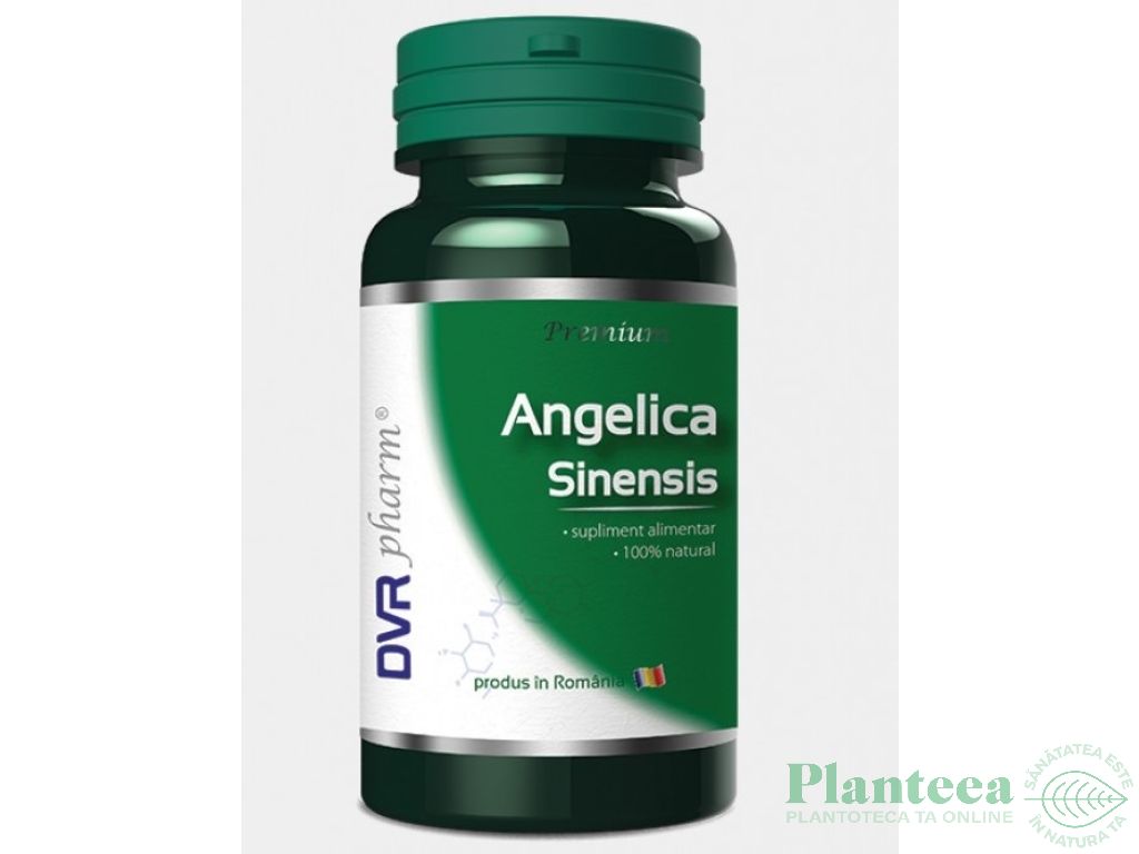 Angelica sinensis 60cps - DVR PHARM