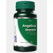 Angelica sinensis 60cps - DVR PHARM