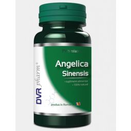 Angelica sinensis 60cps - DVR PHARM