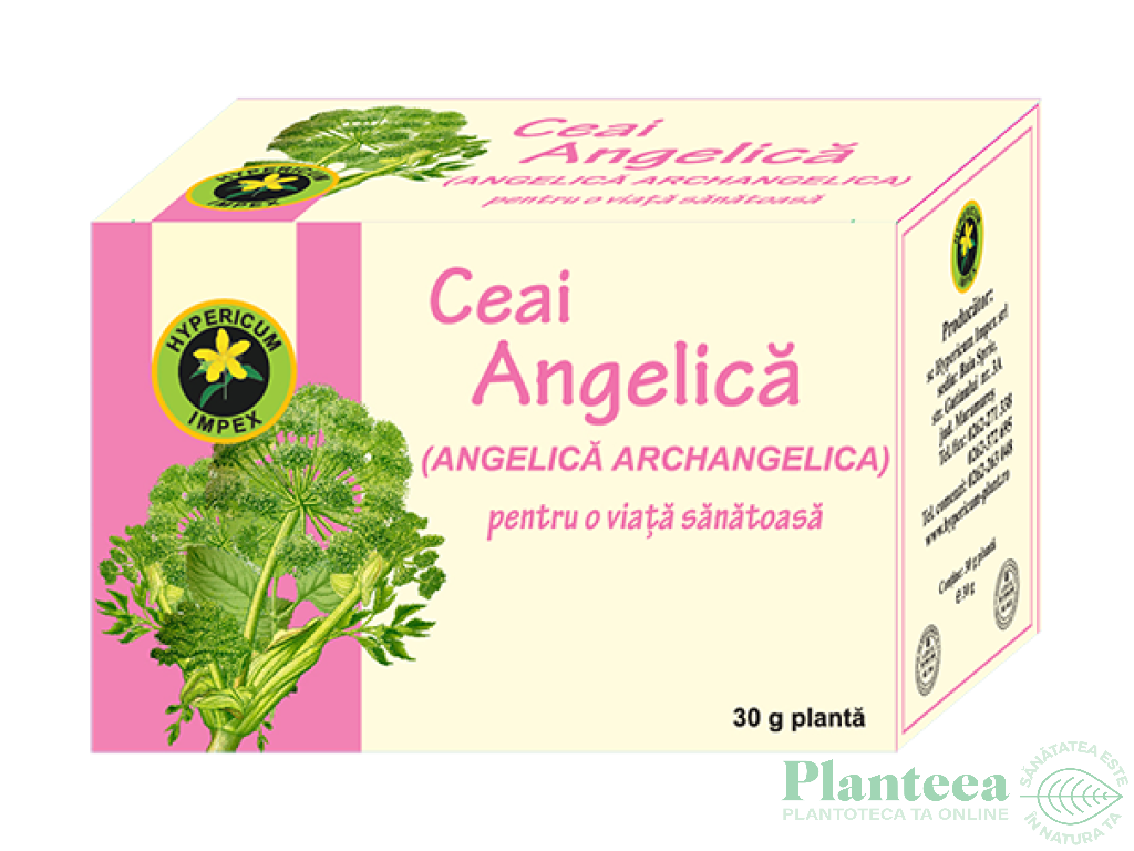 Ceai angelica 30g - HYPERICUM PLANT