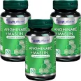 Set Anghinare Maslin 400mg 3x60cps - DVR PHARM