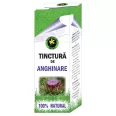 Tinctura anghinare 50ml - HYPERICUM PLANT