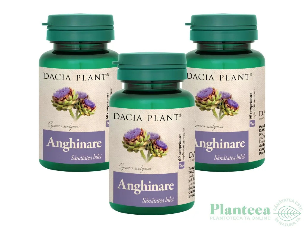 Set Anghinare 300mg 3x60cp - DACIA PLANT