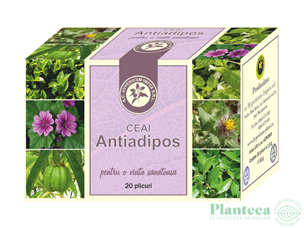 Ceai antiadipos 20dz - HYPERICUM PLANT