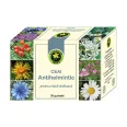 Ceai antihelmintic 30g - HYPERICUM
